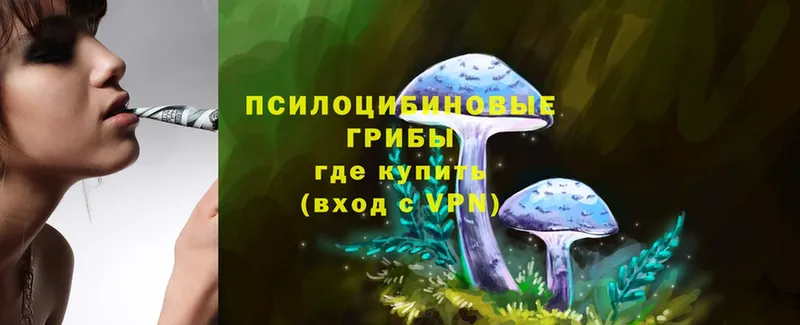 Галлюциногенные грибы Magic Shrooms  Кимовск 